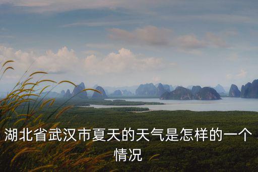 湖北武漢天氣，武漢天氣與氣候的特征的相關(guān)資料