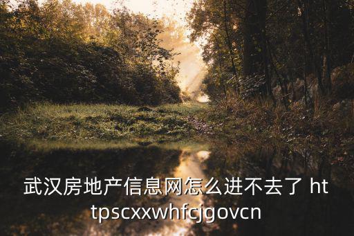 武漢房地產(chǎn)信息網(wǎng)怎么進(jìn)不去了 httpscxxwhfcjgovcn
