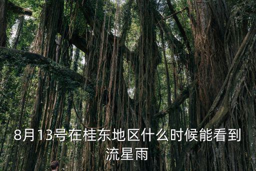 8月13日流星雨，8月13日杭州流星雨