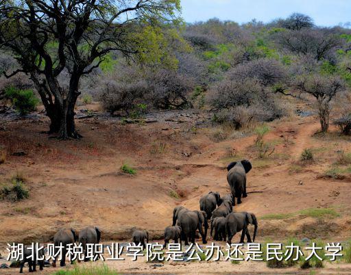 湖北財稅職業學院是公辦還是民辦大學