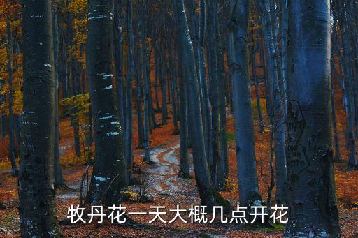 牡丹開花時間，幾月份是牡丹盛開的季節