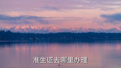 準生證去哪里辦理