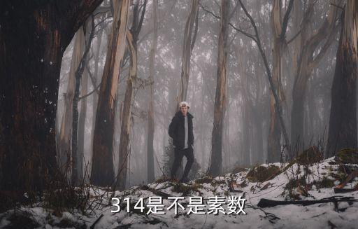 314是不是素數