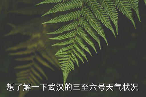 想了解一下武漢的三至六號天氣狀況