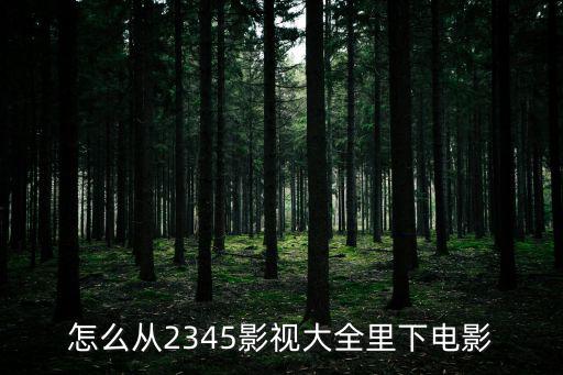 怎么從2345影視大全里下電影