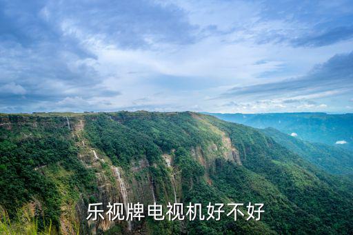 樂視牌電視機好不好