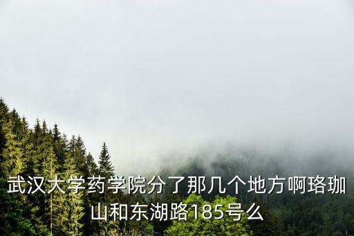 武漢大學(xué)藥學(xué)院分了那幾個地方啊珞珈山和東湖路185號么