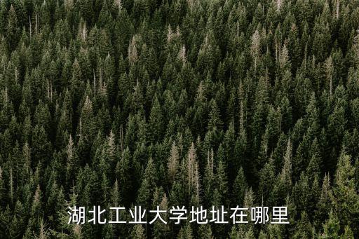 湖北工業大學地址在哪里