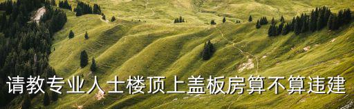 請教專業人士樓頂上蓋板房算不算違建