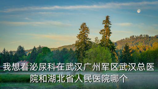 我想看泌尿科在武漢廣州軍區(qū)武漢總醫(yī)院和湖北省人民醫(yī)院哪個