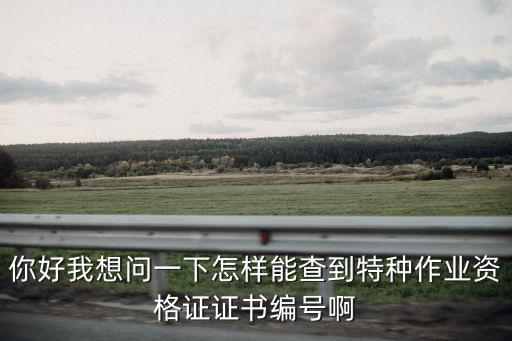 你好我想問一下怎樣能查到特種作業(yè)資格證證書編號啊