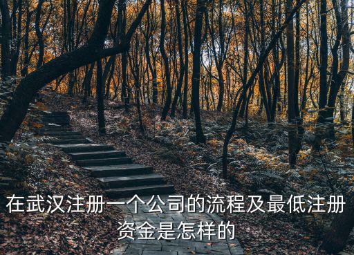 在武漢注冊一個公司的流程及最低注冊資金是怎樣的