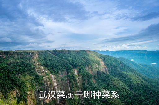 武漢菜屬于哪種菜系