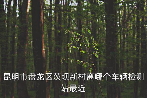 昆明市盤龍區茨壩新村離哪個車輛檢測站最近