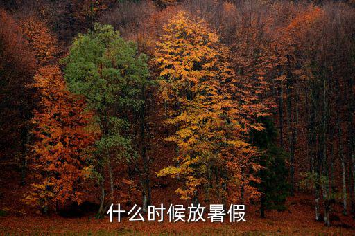 什么時候放暑假