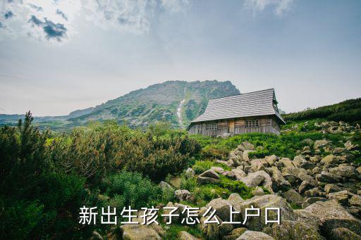 新出生孩子怎么上戶口