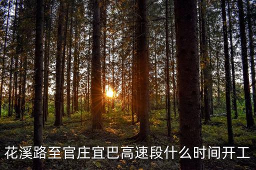 宜巴高速，宜巴高速公路的介紹
