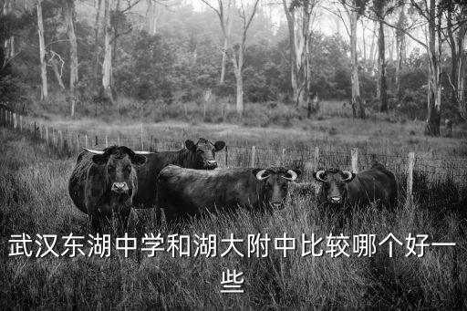 武漢東湖中學和湖大附中比較哪個好一些