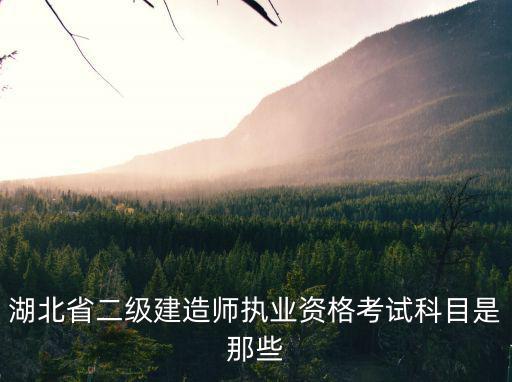 湖北省二級建造師執業資格考試科目是那些