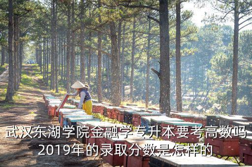 武漢東湖學院金融學專升本要考高數嗎2019年的錄取分數是怎樣的