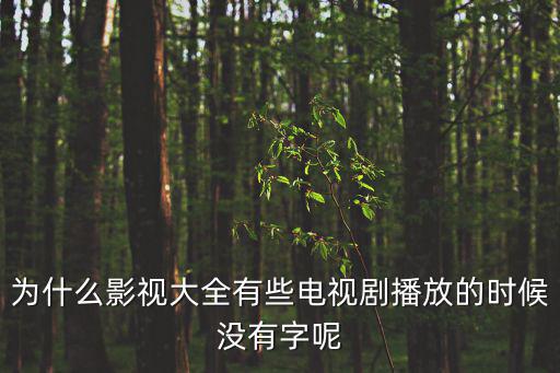 為什么影視大全有些電視劇播放的時候沒有字呢