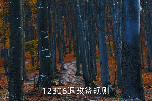 12306改簽規(guī)則，12306如何改簽