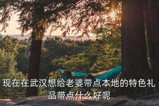 現在在武漢想給老婆帶點本地的特色禮品帶點什么好呢