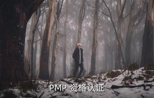 PMP 資格認證