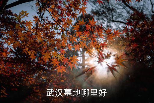 武漢墓地哪里好