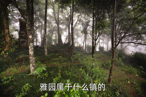 雅園屬于什么鎮的