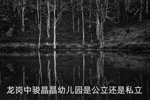 龍崗中駿晶晶幼兒園是公立還是私立
