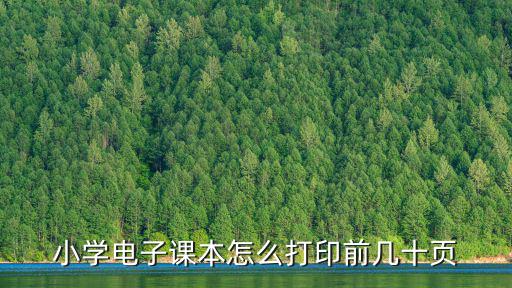 小學電子課本怎么打印前幾十頁
