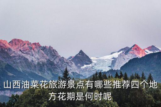 山西油菜花旅游景點有哪些推薦四個地方花期是何時呢
