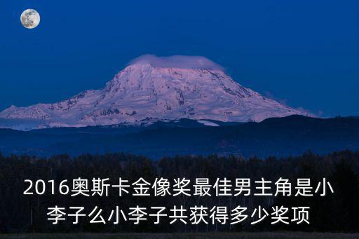 2016奧斯卡金像獎最佳男主角是小李子么小李子共獲得多少獎項