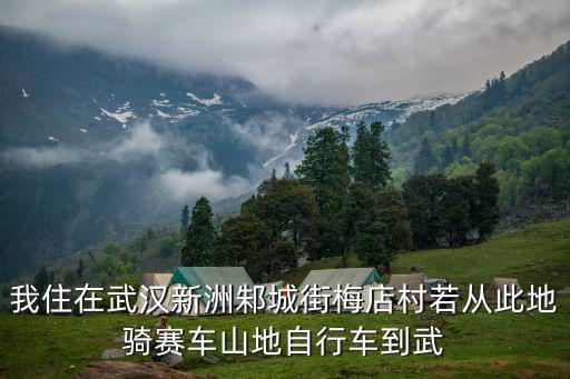 我住在武漢新洲邾城街梅店村若從此地騎賽車山地自行車到武