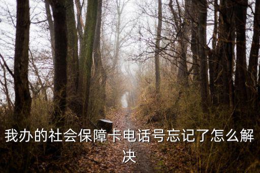 我辦的社會保障卡電話號忘記了怎么解決