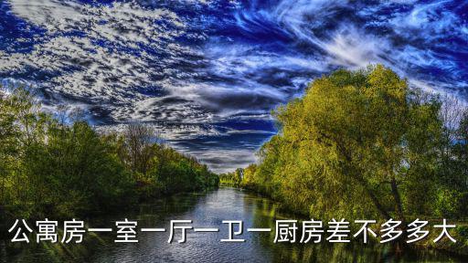 公寓房一室一廳一衛(wèi)一廚房差不多多大