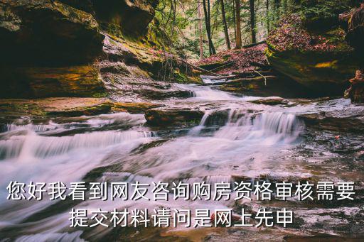 您好我看到網友咨詢購房資格審核需要提交材料請問是網上先申