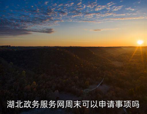 湖北政務服務網周末可以申請事項嗎