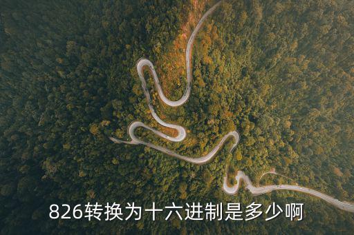 826轉(zhuǎn)換為十六進(jìn)制是多少啊