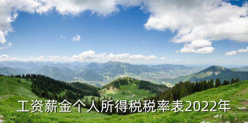 工資薪金個人所得稅稅率表2022年