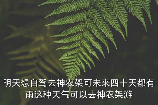 明天想自駕去神農架可未來四十天都有雨這種天氣可以去神農架游