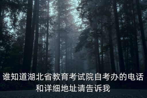 誰知道湖北省教育考試院自考辦的電話和詳細地址請告訴我