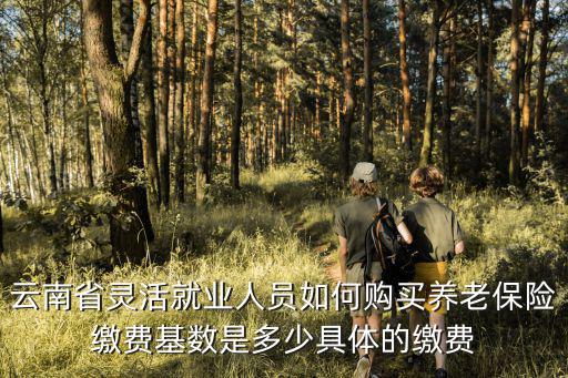 云南省靈活就業人員如何購買養老保險繳費基數是多少具體的繳費