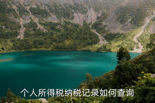 個(gè)人所得稅納稅記錄如何查詢