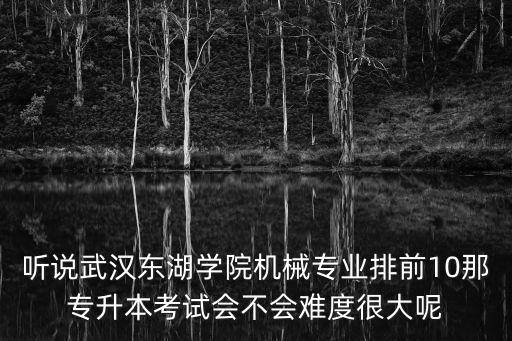 聽說武漢東湖學院機械專業排前10那專升本考試會不會難度很大呢