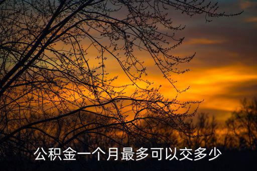 公積金一個月最多可以交多少