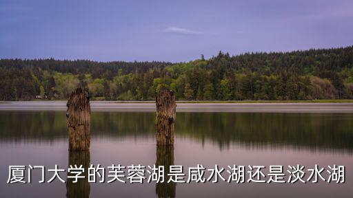 廈門大學的芙蓉湖是咸水湖還是淡水湖