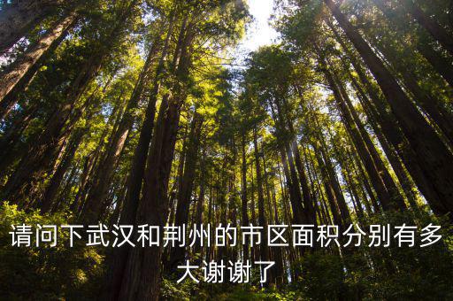 請問下武漢和荊州的市區(qū)面積分別有多大謝謝了