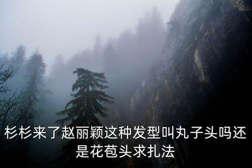 杉杉來了趙麗穎這種發(fā)型叫丸子頭嗎還是花苞頭求扎法